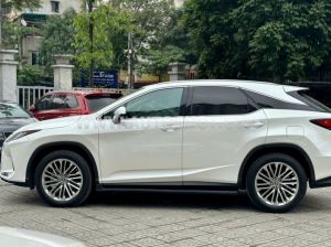 Xe Lexus RX 350 2020