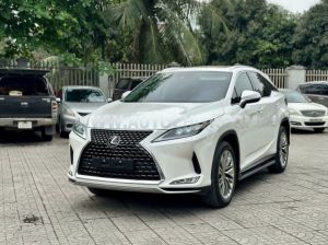 Xe Lexus RX 350 2020