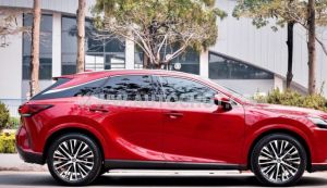 Xe Lexus RX 350 Premium 2023