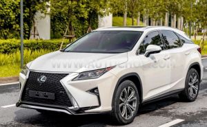 Xe Lexus RX 350 2019