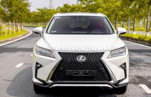 Xe Lexus RX 350 2019