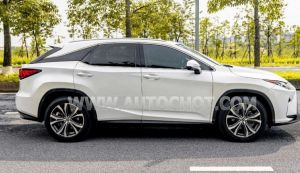 Xe Lexus RX 350 2019