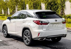 Xe Lexus RX 350 2019
