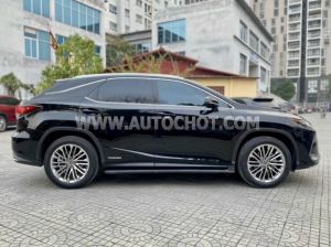 Xe Lexus RX 450h 2021