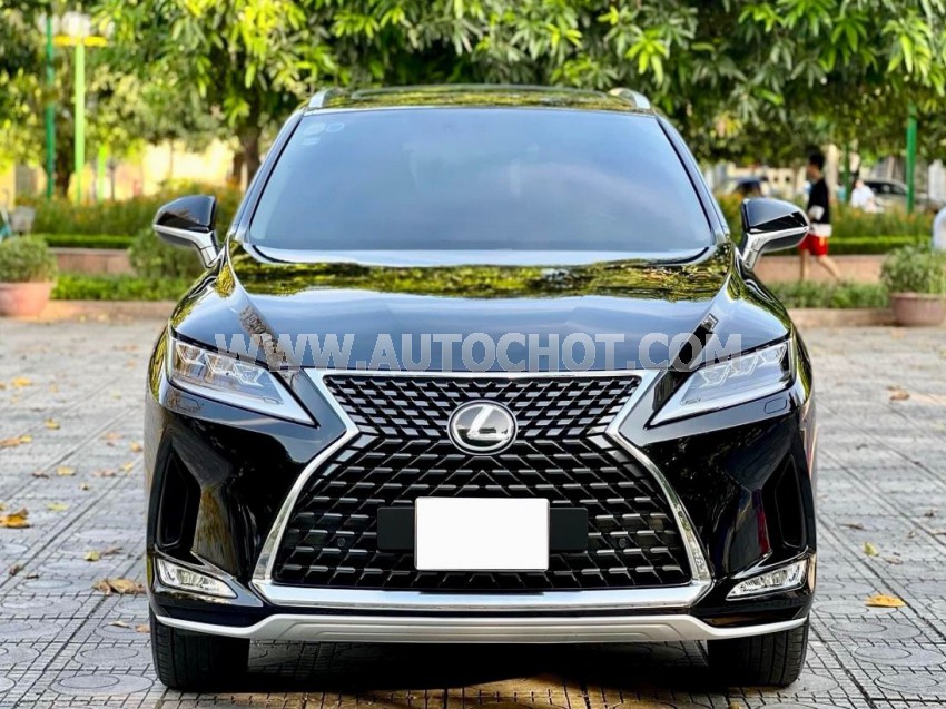 Lexus RX 300 2021