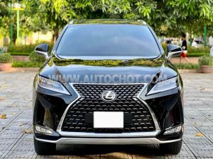 Xe Lexus RX 300 2021