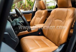 Xe Lexus RX 350 2019