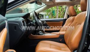 Xe Lexus RX 350 2019