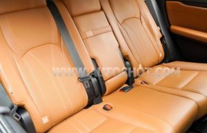 Xe Lexus RX 350 2019