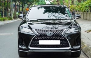 Xe Lexus RX 350 2019