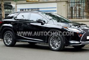 Xe Lexus RX 350 2019