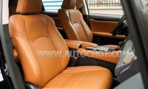 Xe Lexus RX 350 2019