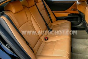 Xe Lexus ES 250 2022