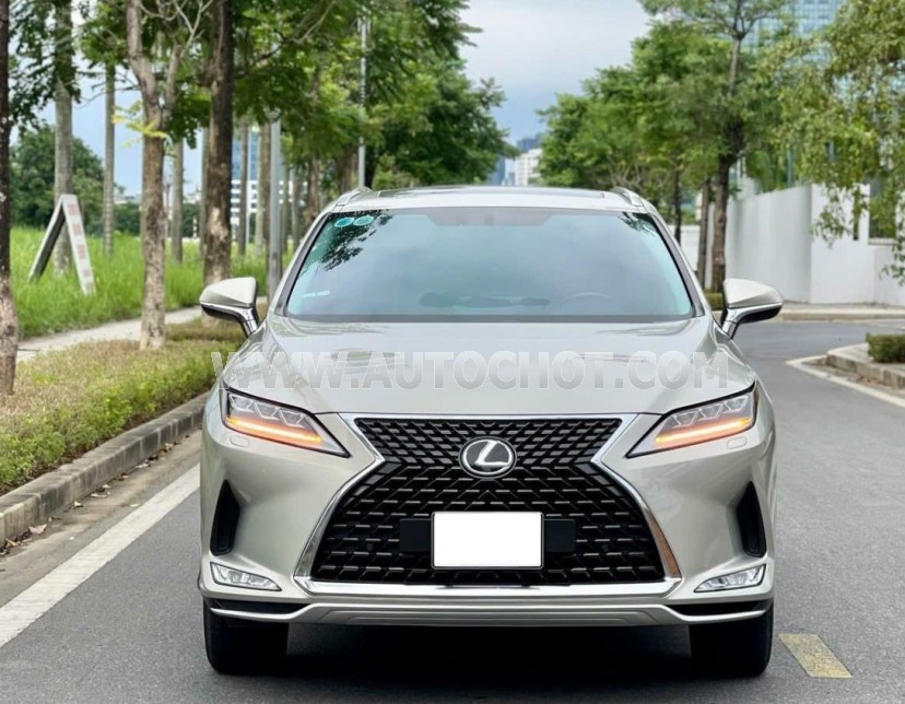Lexus RX 300 2021