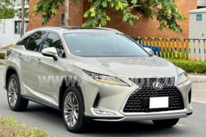 Xe Lexus RX 300 2021