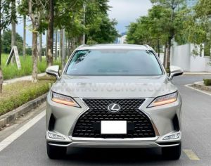 Xe Lexus RX 300 2021
