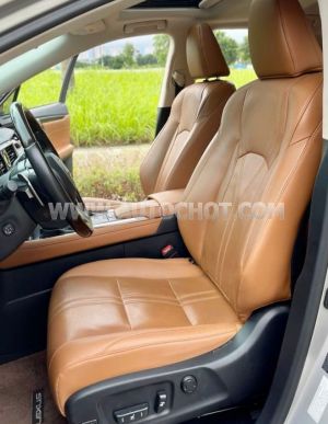 Xe Lexus RX 300 2021