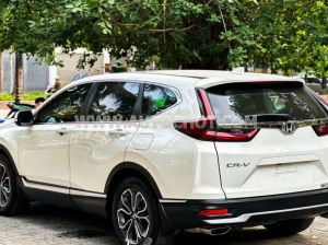 Xe Honda CRV L 2022