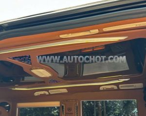 Xe Mercedes Benz V class V250 Luxury 2020