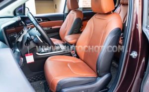 Xe Kia Carnival Premium 2.2D 2022