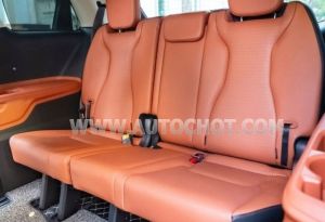 Xe Kia Carnival Premium 2.2D 2022