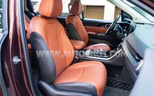 Xe Kia Carnival Premium 2.2D 2022