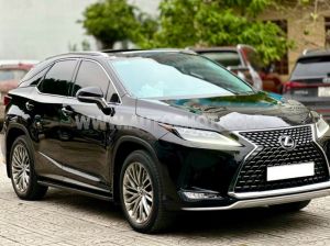 Xe Lexus RX 300 2020