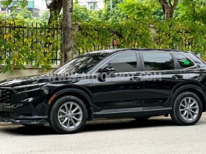 Xe Honda CRV L 2024