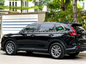Xe Honda CRV L 2024