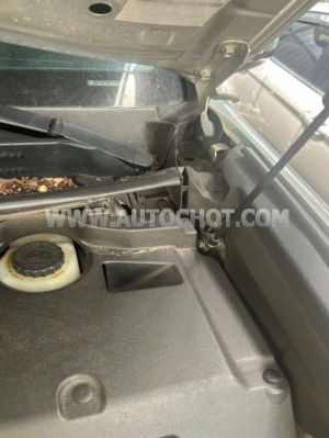 Xe Lexus GX 460 2009