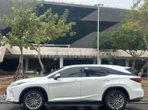 Xe Lexus RX 350L 2021