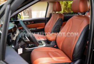 Xe Kia Carnival Signature 2.2D 2023