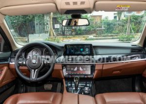 Xe BMW 5 Series 520i 2016