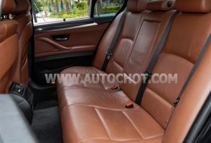 Xe BMW 5 Series 520i 2016