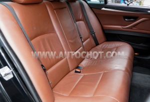Xe BMW 5 Series 520i 2016
