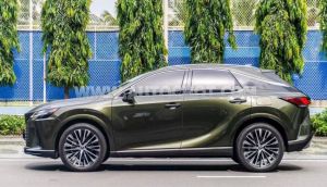 Xe Lexus RX 350 Premium 2025