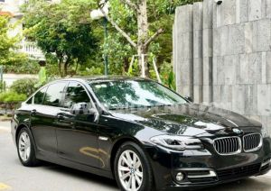 Xe BMW 5 Series 523i 2010
