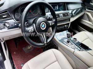 Xe BMW 5 Series 523i 2010