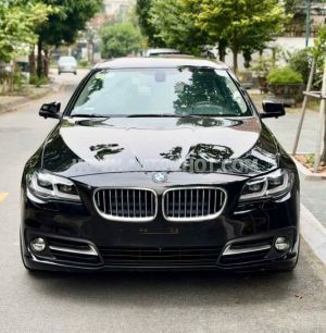 Xe BMW 5 Series 523i 2010