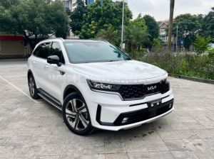 Xe Kia Sorento Signature 2.5 AT AWD 2022