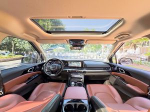 Xe Kia Carnival Signature 2.2D 2023