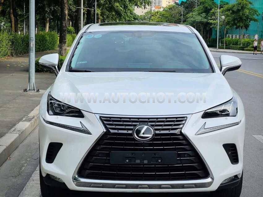 Lexus NX 300 2018