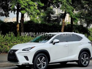 Xe Lexus NX 300 2018