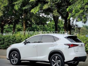 Xe Lexus NX 300 2018