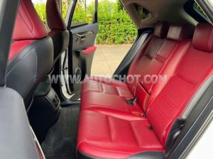 Xe Lexus NX 300 2018