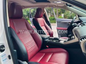 Xe Lexus NX 300 2018