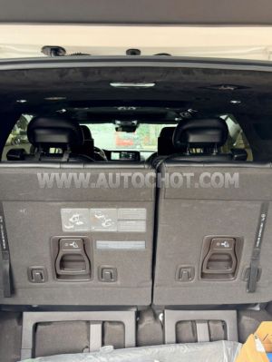 Xe Kia Carnival Signature 2.2D 2021