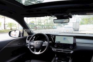 Xe Lexus RX 350h Luxury 2025