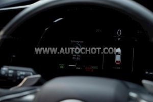 Xe Lexus RX 350h Luxury 2025