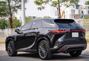 Xe Lexus RX 350h Luxury 2025